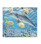 飛び出す★夏を感じる・夏の涼しい海・挨拶（個別スタンプ：11）
