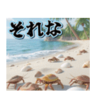 飛び出す★夏を感じる・夏の涼しい海・挨拶（個別スタンプ：15）