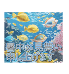 飛び出す★夏を感じる・夏の涼しい海・挨拶（個別スタンプ：17）