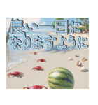 飛び出す★夏を感じる・夏の涼しい海・挨拶（個別スタンプ：19）