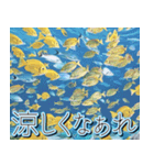 飛び出す★夏を感じる・夏の涼しい海・挨拶（個別スタンプ：20）