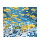 飛び出す★夏を感じる・夏の涼しい海・挨拶（個別スタンプ：24）