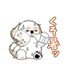 動くシーズー犬 2025 「暑い夏」15（個別スタンプ：1）