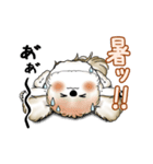 動くシーズー犬 2025 「暑い夏」15（個別スタンプ：2）