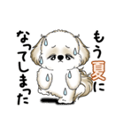 動くシーズー犬 2025 「暑い夏」15（個別スタンプ：3）