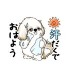 動くシーズー犬 2025 「暑い夏」15（個別スタンプ：4）
