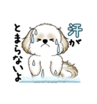 動くシーズー犬 2025 「暑い夏」15（個別スタンプ：5）