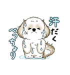 動くシーズー犬 2025 「暑い夏」15（個別スタンプ：6）