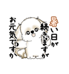 動くシーズー犬 2025 「暑い夏」15（個別スタンプ：7）