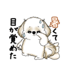 動くシーズー犬 2025 「暑い夏」15（個別スタンプ：8）