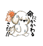 動くシーズー犬 2025 「暑い夏」15（個別スタンプ：11）