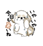 動くシーズー犬 2025 「暑い夏」15（個別スタンプ：12）
