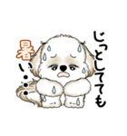動くシーズー犬 2025 「暑い夏」15（個別スタンプ：13）