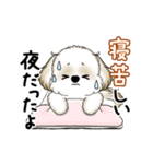 動くシーズー犬 2025 「暑い夏」15（個別スタンプ：14）