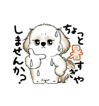 動くシーズー犬 2025 「暑い夏」15（個別スタンプ：16）