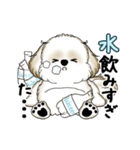 動くシーズー犬 2025 「暑い夏」15（個別スタンプ：17）