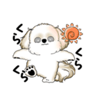 動くシーズー犬 2025 「暑い夏」15（個別スタンプ：19）