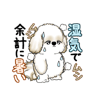 動くシーズー犬 2025 「暑い夏」15（個別スタンプ：20）