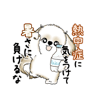 動くシーズー犬 2025 「暑い夏」15（個別スタンプ：22）