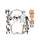 動くシーズー犬 2025 「暑い夏」15（個別スタンプ：23）