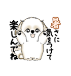 動くシーズー犬 2025 「暑い夏」15（個別スタンプ：24）
