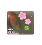 happyなhappyちゃんとlovelyな lovely❤️（個別スタンプ：6）
