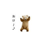 踊るクマ♪リズムにのってごきげん！（個別スタンプ：13）