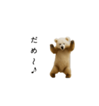 踊るクマ♪リズムにのってごきげん！（個別スタンプ：14）