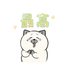 ポジティブ猫ねむちゃん 3（個別スタンプ：12）