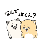 ポジティブ猫ねむちゃん 3（個別スタンプ：24）