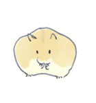 とりあえず送るハムスターのスタンプ（個別スタンプ：28）