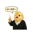 リアルなヒヨコの職業スタンプ（個別スタンプ：4）