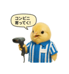 リアルなヒヨコの職業スタンプ（個別スタンプ：5）