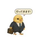 リアルなヒヨコの職業スタンプ（個別スタンプ：12）