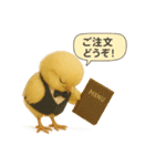 リアルなヒヨコの職業スタンプ（個別スタンプ：18）