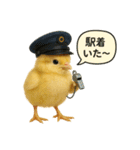 リアルなヒヨコの職業スタンプ（個別スタンプ：32）