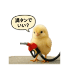 リアルなヒヨコの職業スタンプ（個別スタンプ：35）