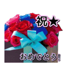 飛び出す★夏のお祝いメッセージ_おめでと（個別スタンプ：3）