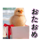 飛び出す★夏のお祝いメッセージ_おめでと（個別スタンプ：8）