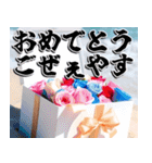 飛び出す★夏のお祝いメッセージ_おめでと（個別スタンプ：24）