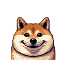 無言で伝える太っちょ柴犬2（個別スタンプ：3）