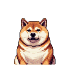 無言で伝える太っちょ柴犬2（個別スタンプ：4）