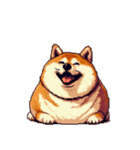 無言で伝える太っちょ柴犬2（個別スタンプ：6）