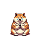 無言で伝える太っちょ柴犬2（個別スタンプ：7）