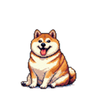 無言で伝える太っちょ柴犬2（個別スタンプ：9）