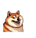 無言で伝える太っちょ柴犬2（個別スタンプ：11）