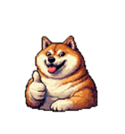 無言で伝える太っちょ柴犬2（個別スタンプ：12）