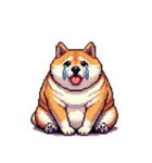 無言で伝える太っちょ柴犬2（個別スタンプ：14）