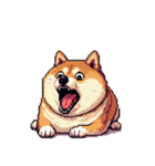 無言で伝える太っちょ柴犬2（個別スタンプ：17）