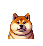 無言で伝える太っちょ柴犬2（個別スタンプ：19）